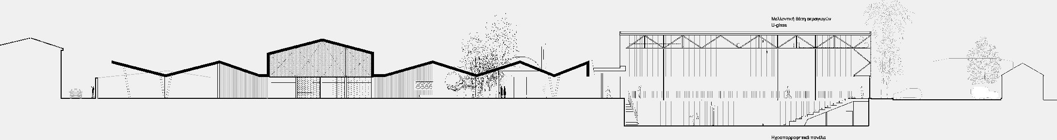 Section drawing, Pancyprian Highschool – Masterplan and Sports Hall